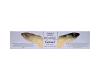 Goloka Archangel Gabriel Incense